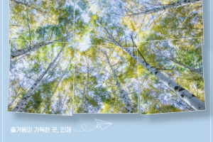 /files/bd2ad6f7-1642-43ba-bb71-fd2cacccad77.png
