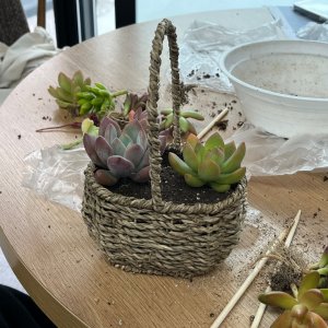 back_img_41