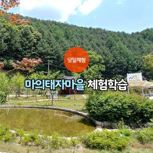 back_img_42