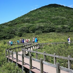 back_img_26