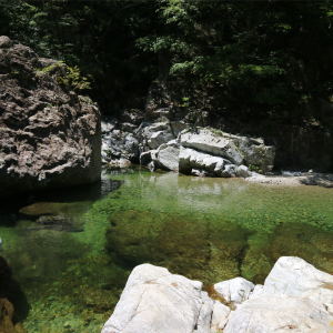 back_img_29