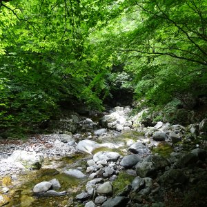 back_img_13