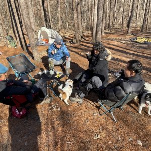back_img_42