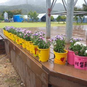 back_img_18