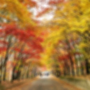 back_img_27
