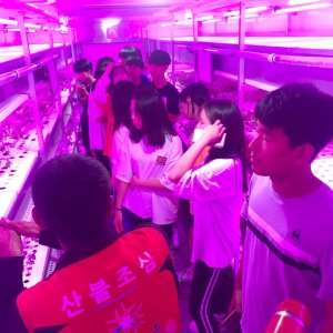 back_img_7