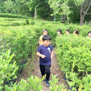 back_img_36