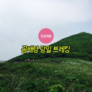 back_img_20