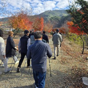 back_img_32