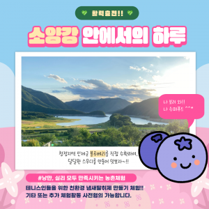back_img_32