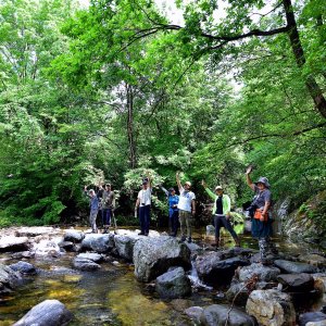 back_img_32
