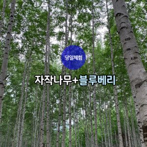 back_img_38