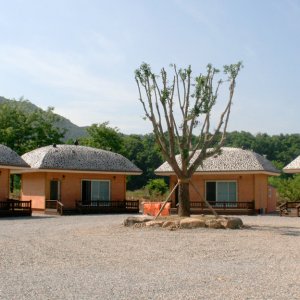 back_img_31