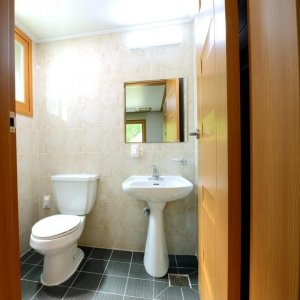 back_img_20