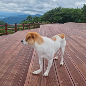 back_img_10