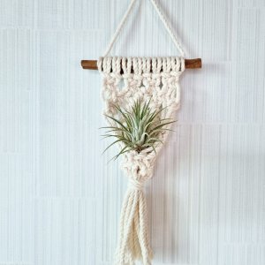 back_img_25