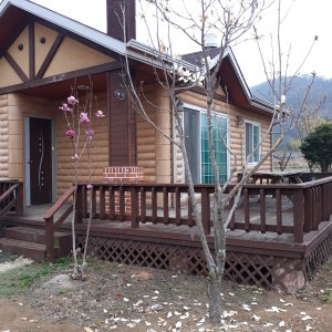 back_img_28