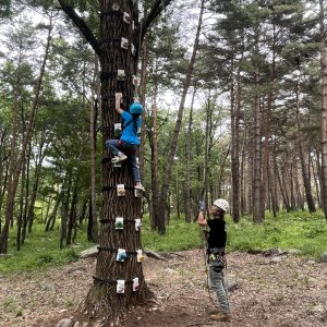 back_img_40