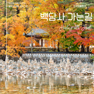 back_img_22