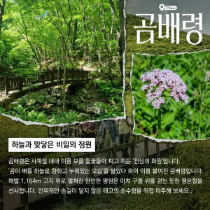back_img_28