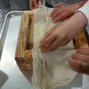 back_img_31