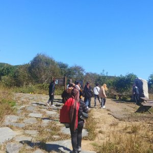 back_img_20