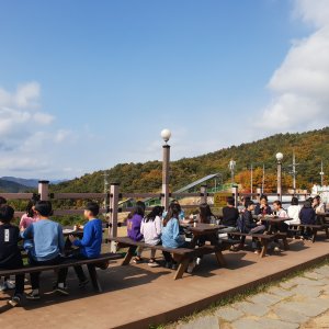 back_img_32