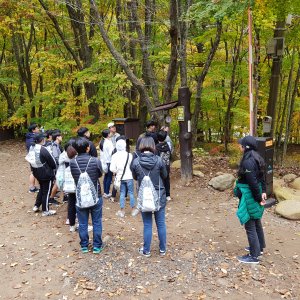 back_img_17