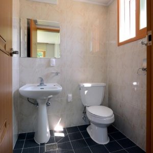 back_img_42