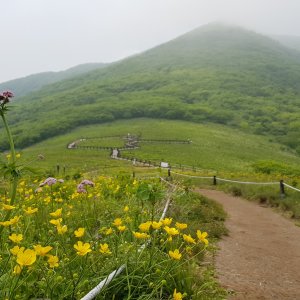 back_img_37