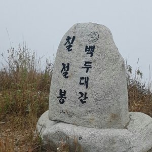 back_img_23
