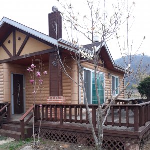 back_img_19