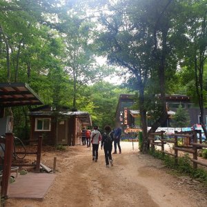 back_img_41