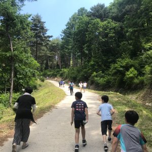 back_img_42