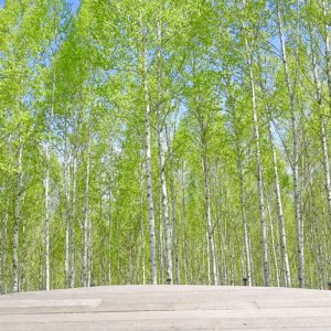 back_img_34
