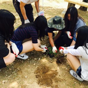 back_img_17