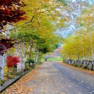 back_img_9