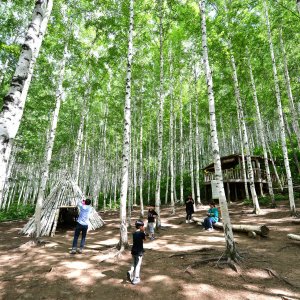 back_img_30