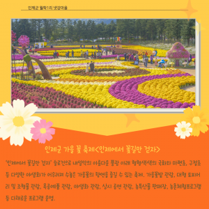 back_img_14