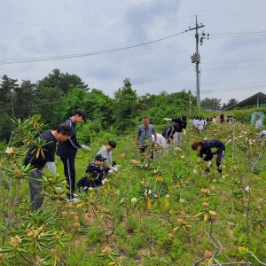 back_img_27