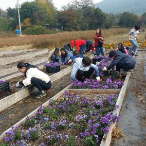 back_img_34