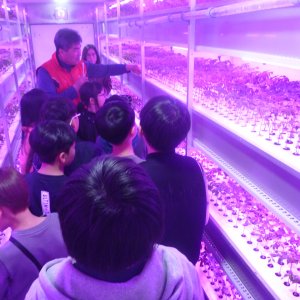 back_img_16