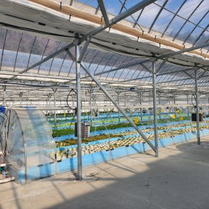 back_img_24
