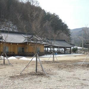 back_img_4
