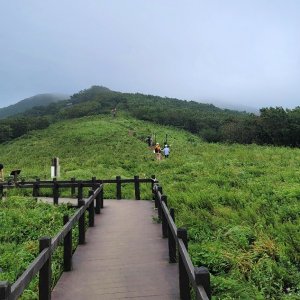 back_img_29