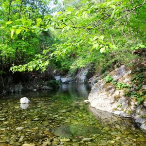 back_img_36