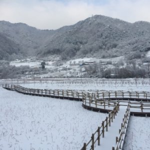 back_img_18