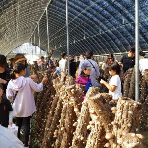 back_img_16