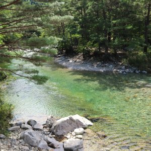 back_img_36