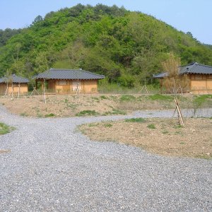 back_img_28